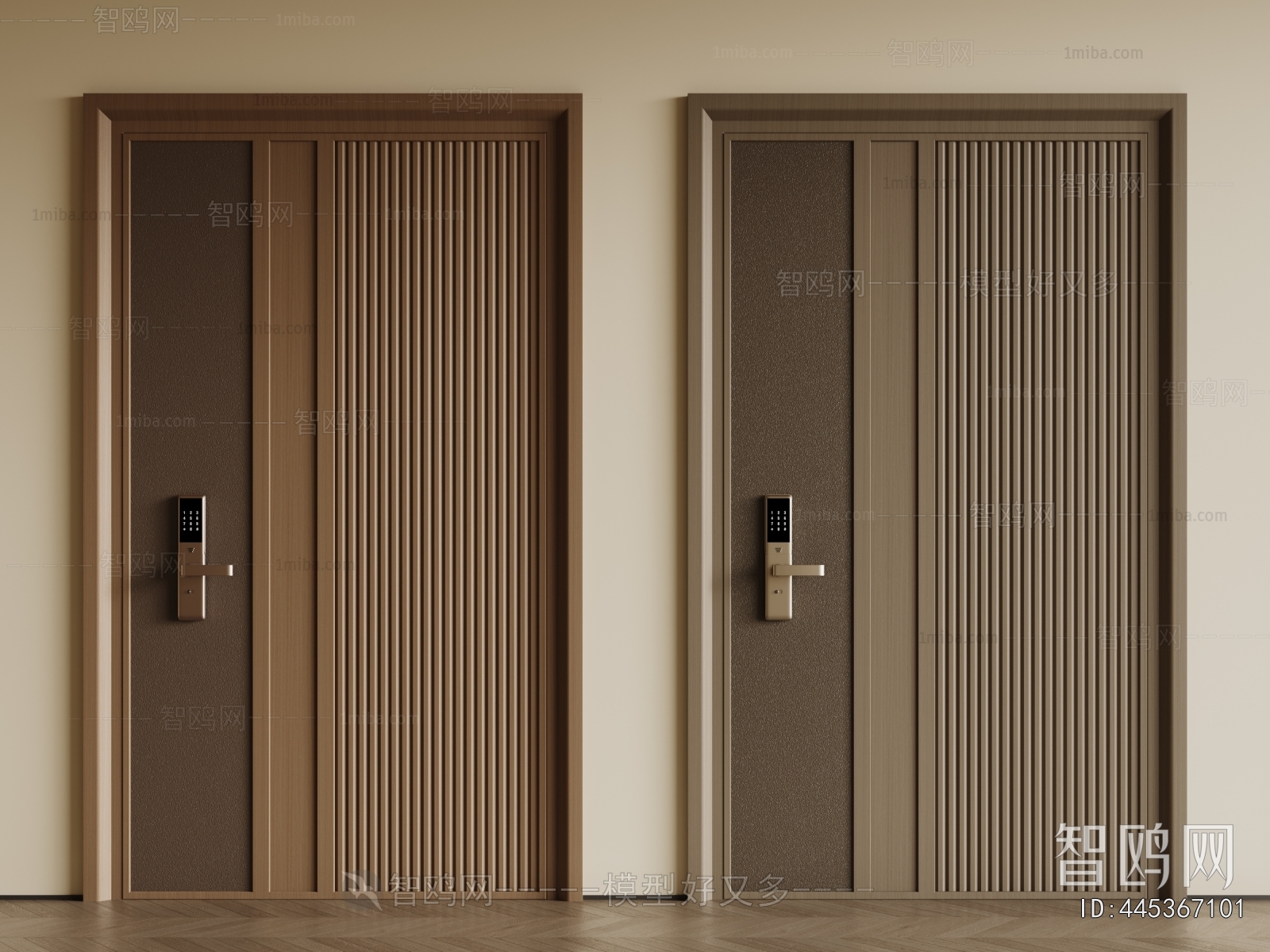 Modern Entrance Door