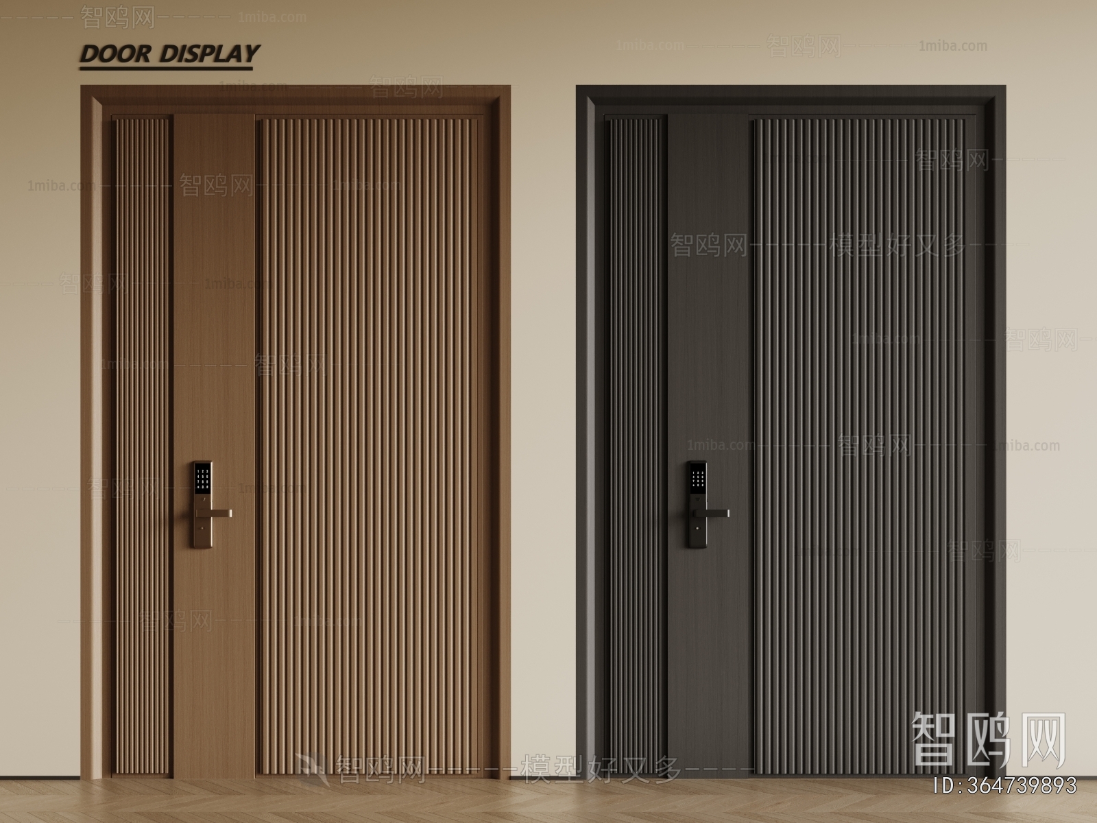 Modern Entrance Door