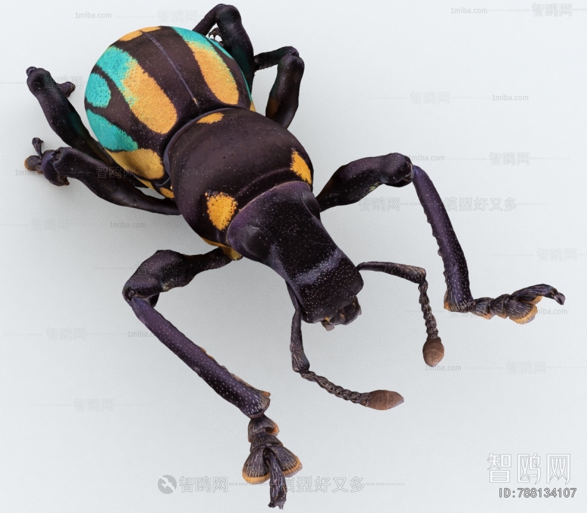 Modern Other Animals