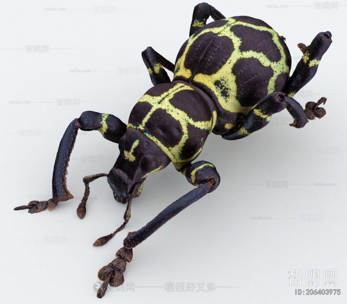 Modern Other Animals