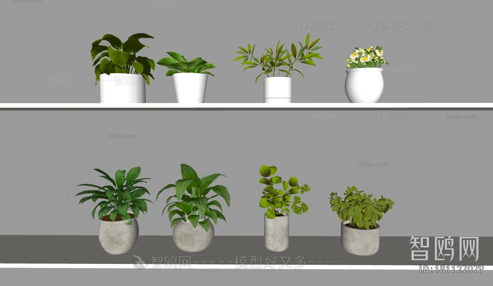 Modern Desktop Plant