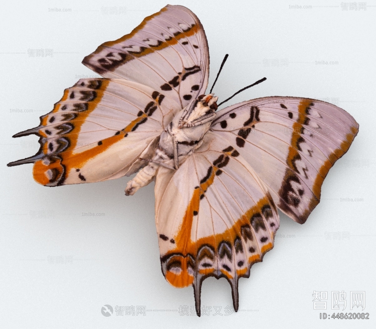 Modern Other Animals