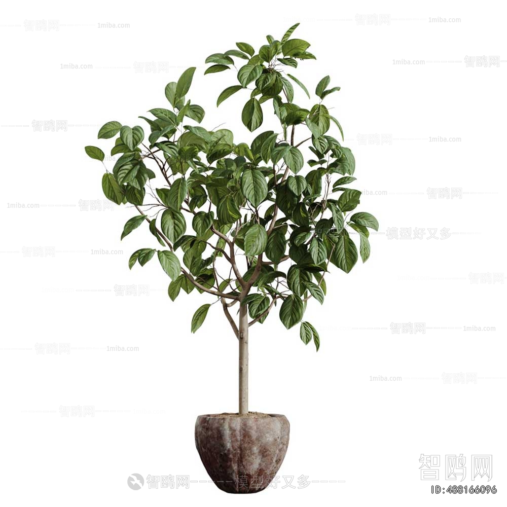 Modern Ground Green Plant Potted Plants