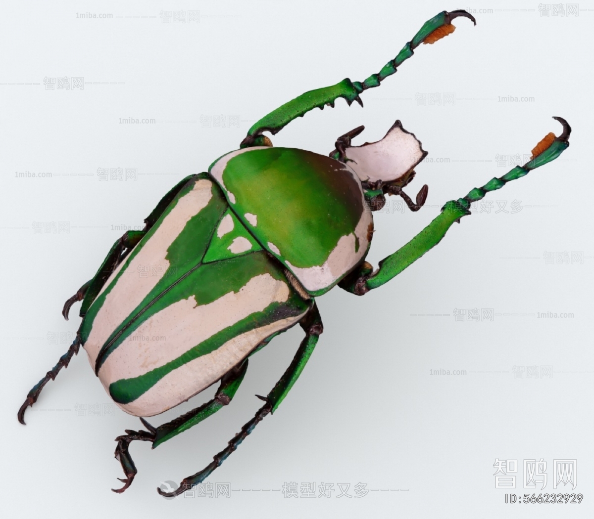 Modern Other Animals