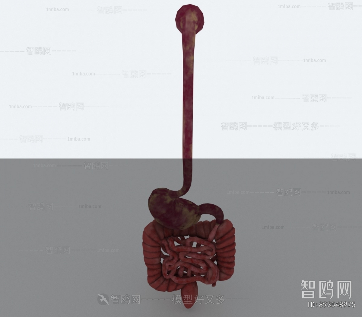 Modern Medical Equipment