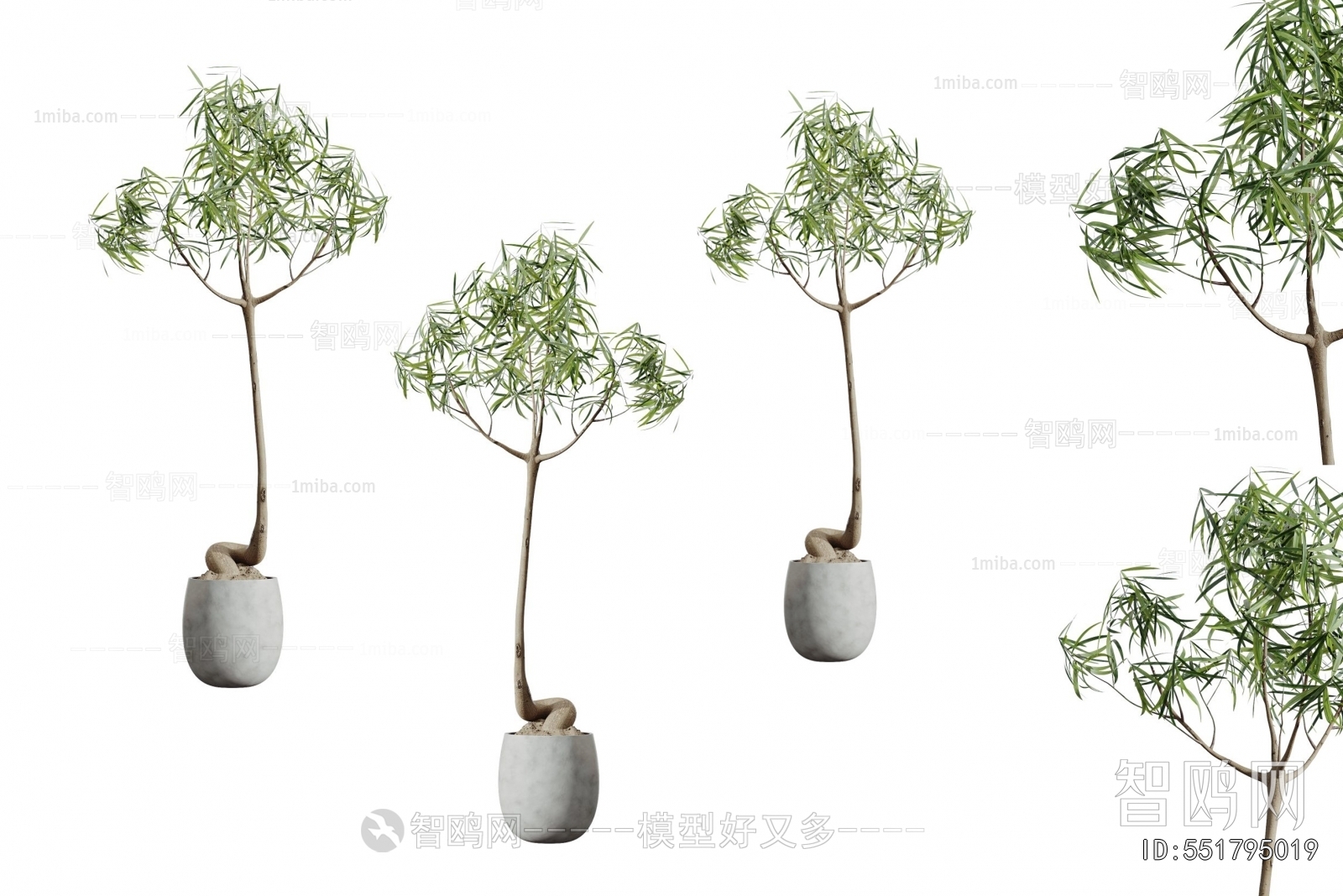 Modern Ground Green Plant Potted Plants