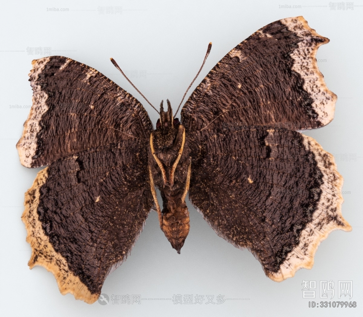 Modern Other Animals