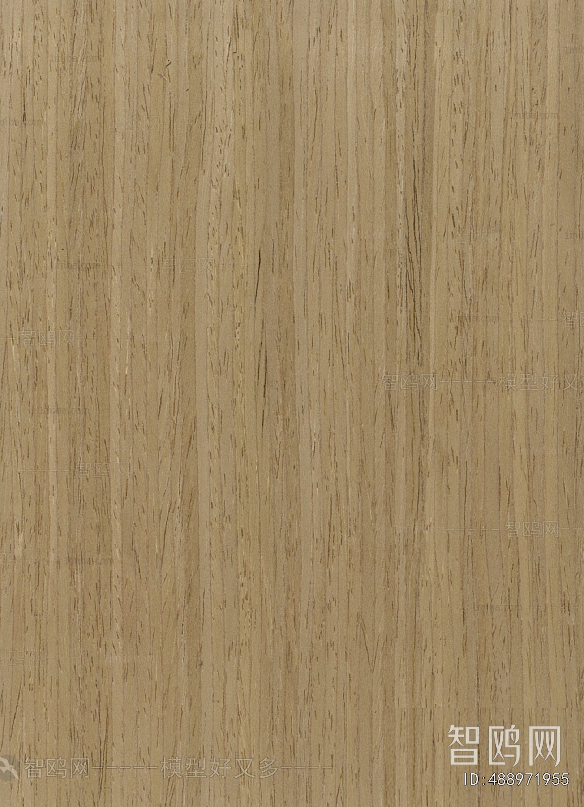 Wood Texture