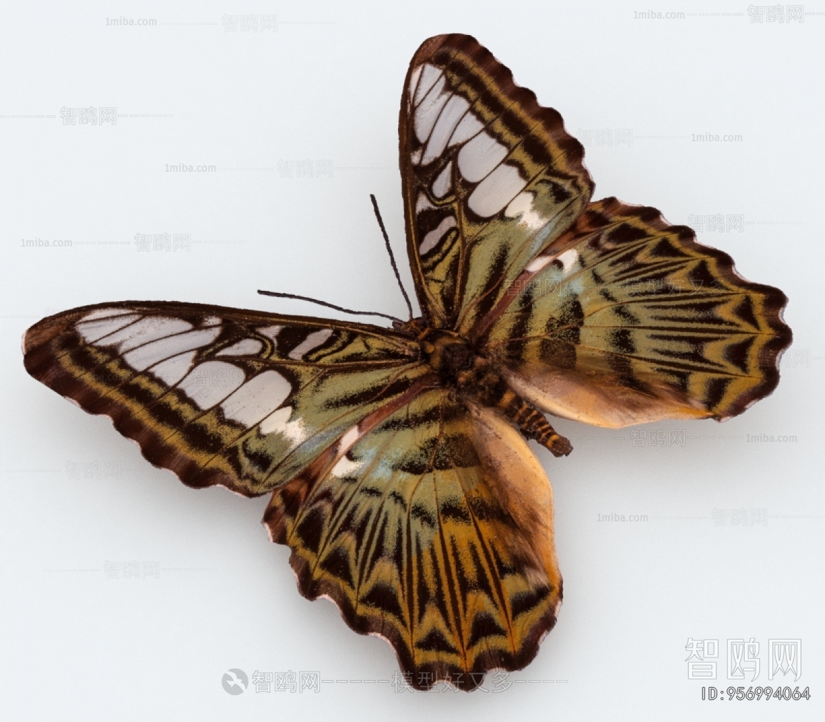 Modern Other Animals