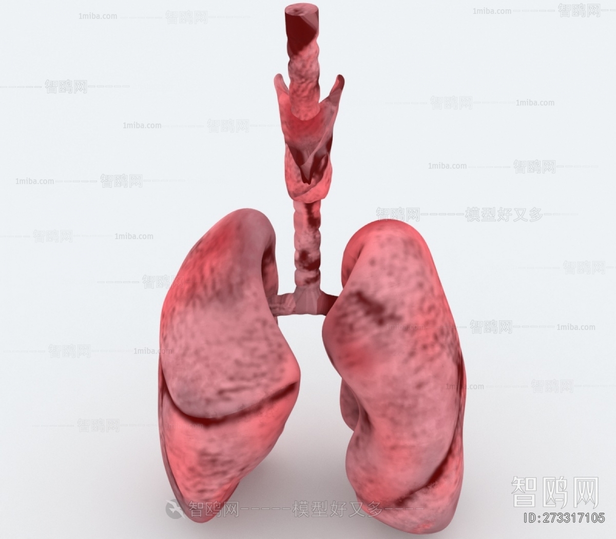 Modern Medical Equipment