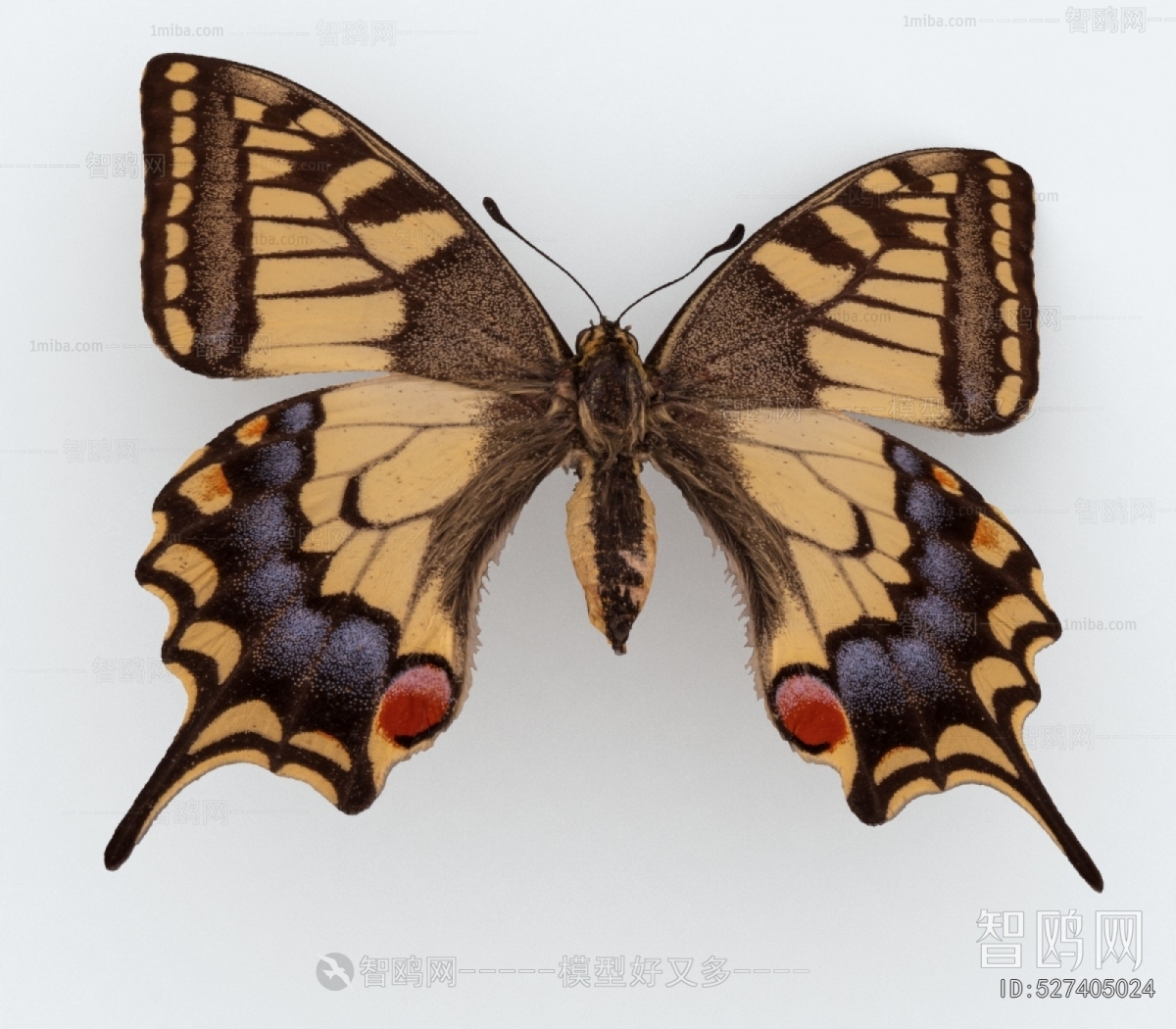 Modern Other Animals