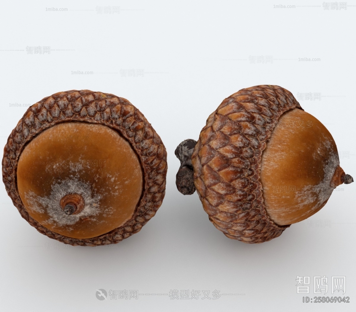 Modern Specialty Cooked Food Dry Goods