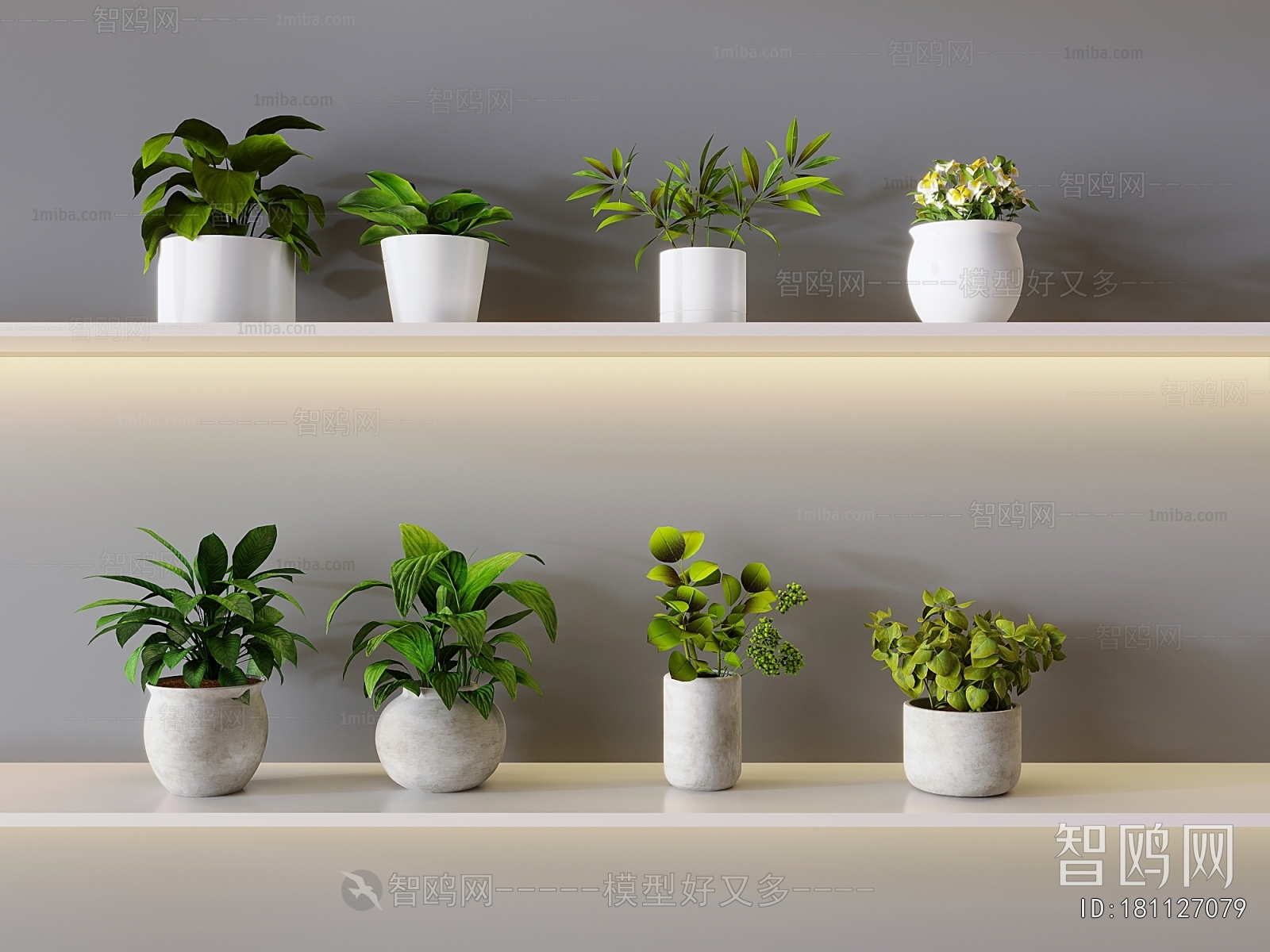 Modern Desktop Plant