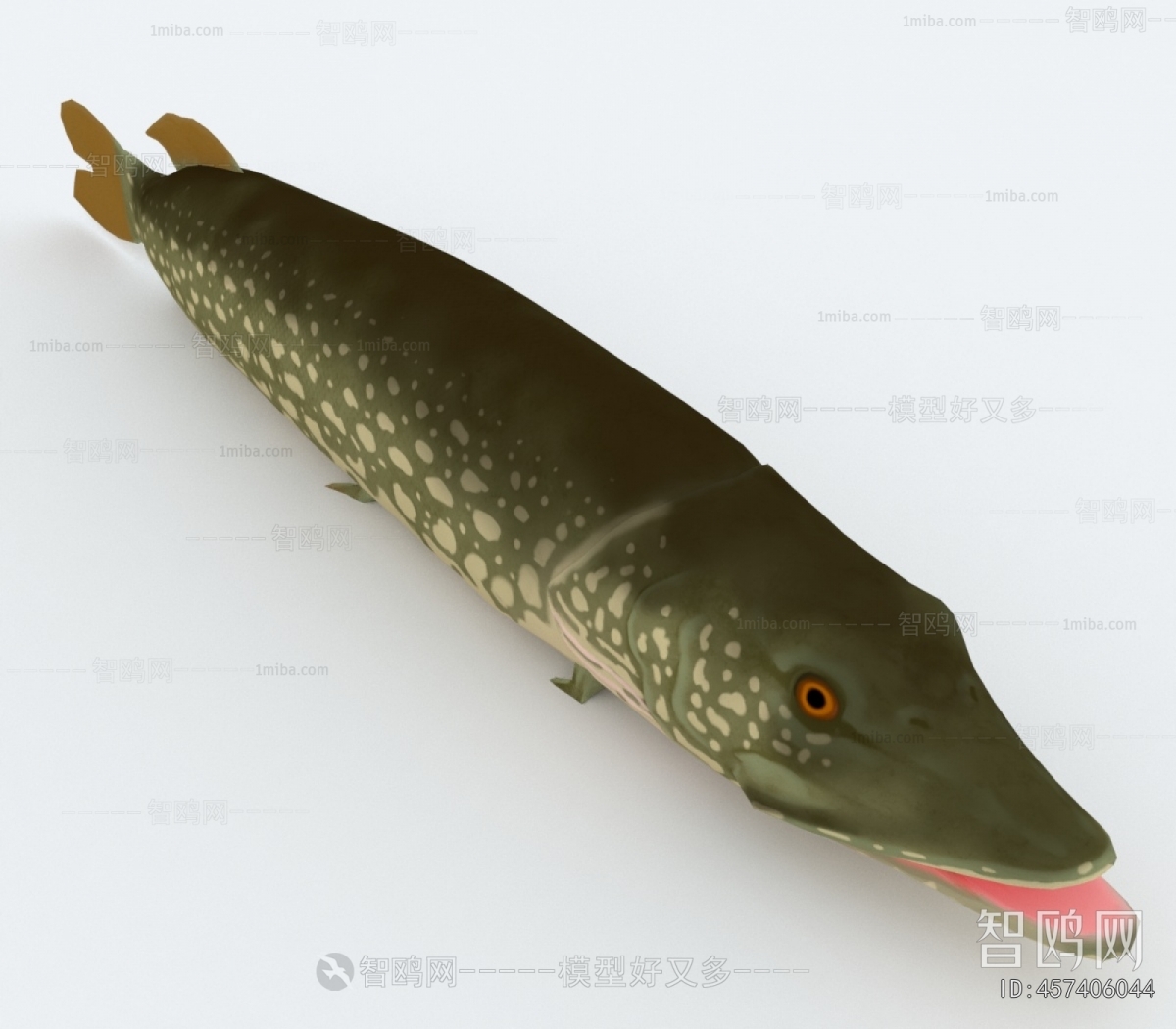 Modern Aquatic Animals