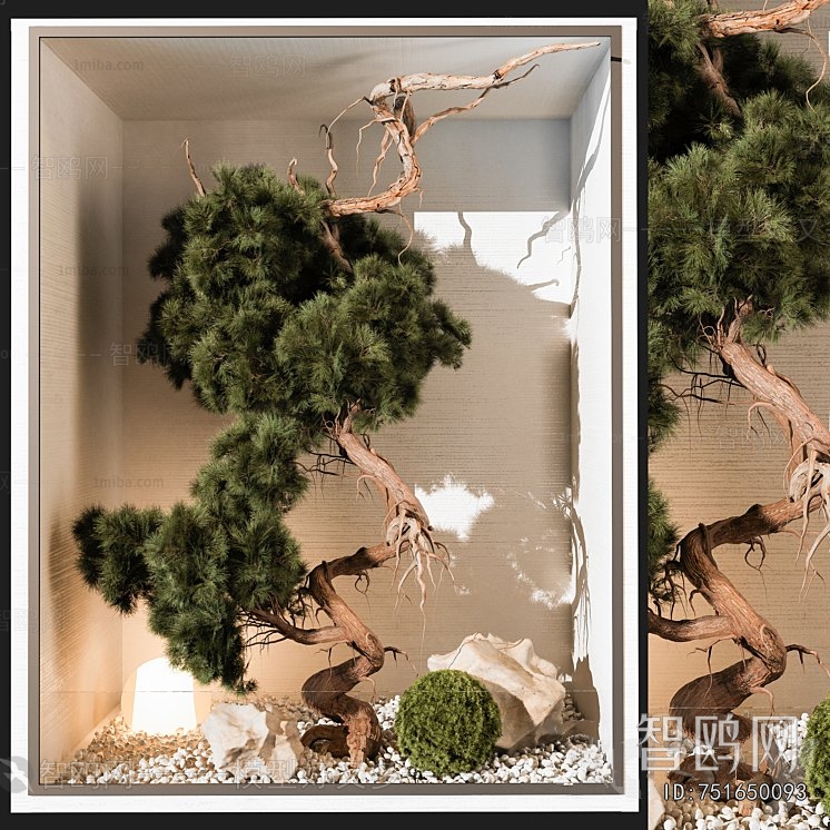 Modern Plant Landscaping