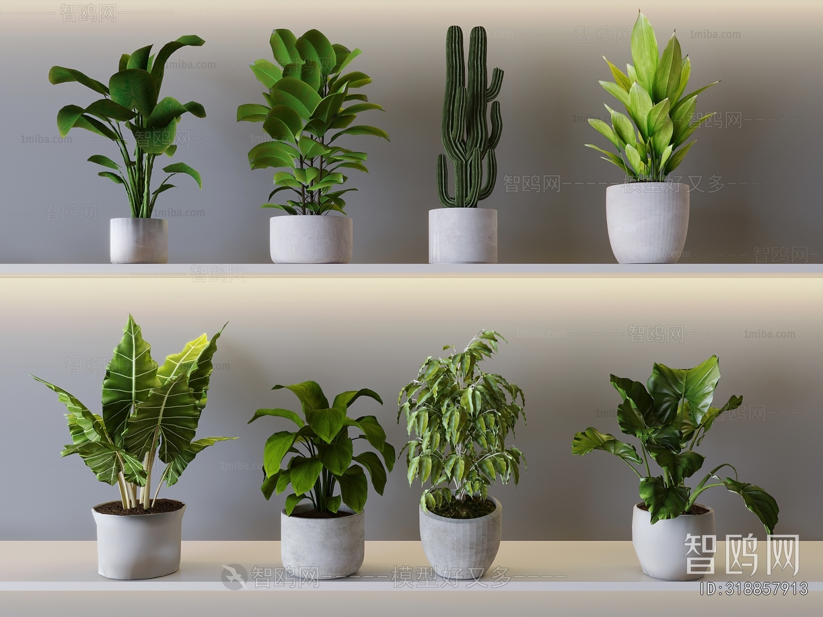 Modern Desktop Plant