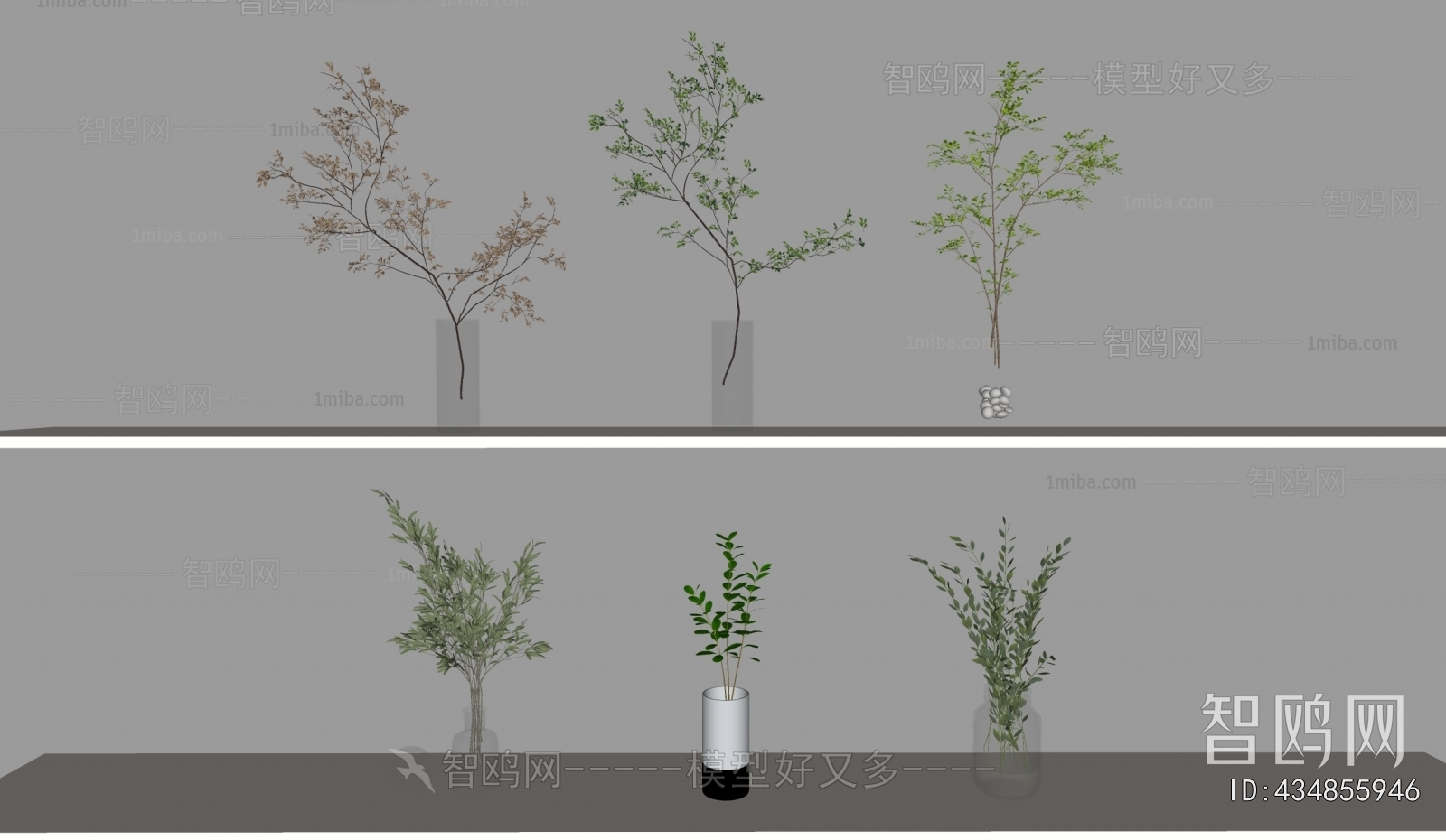 现代水生绿植组合