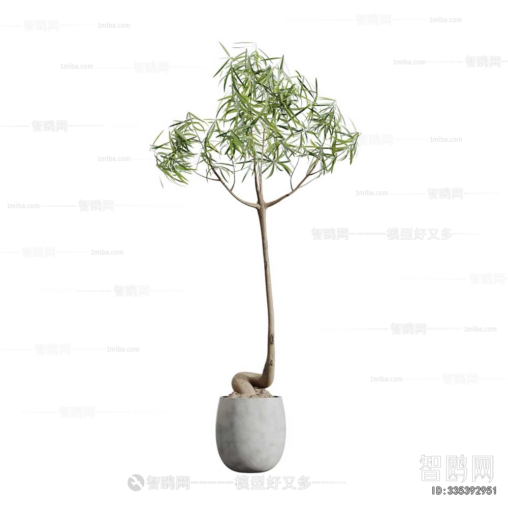 Modern Ground Green Plant Potted Plants