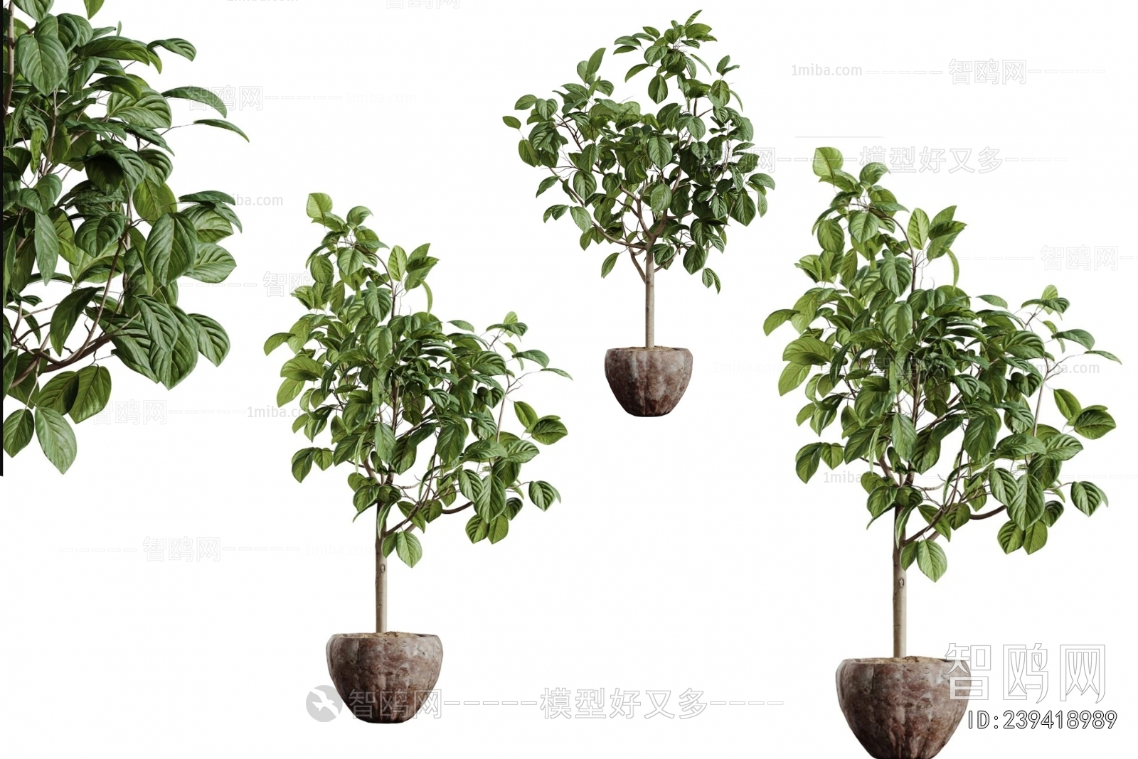 Modern Ground Green Plant Potted Plants