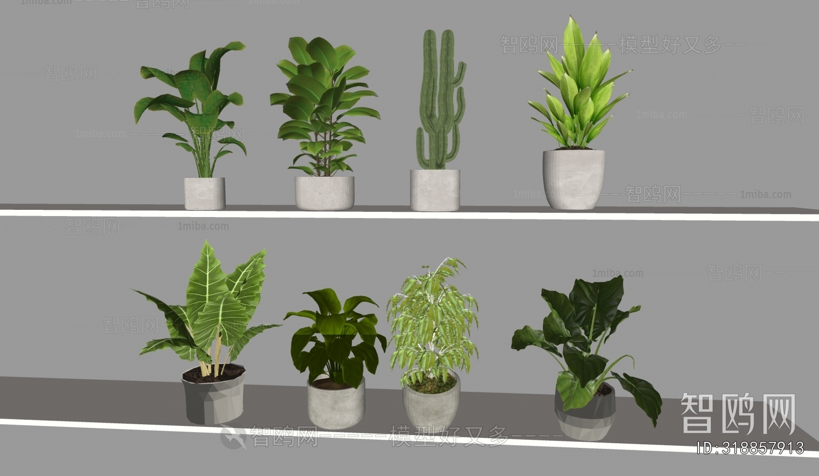 Modern Desktop Plant
