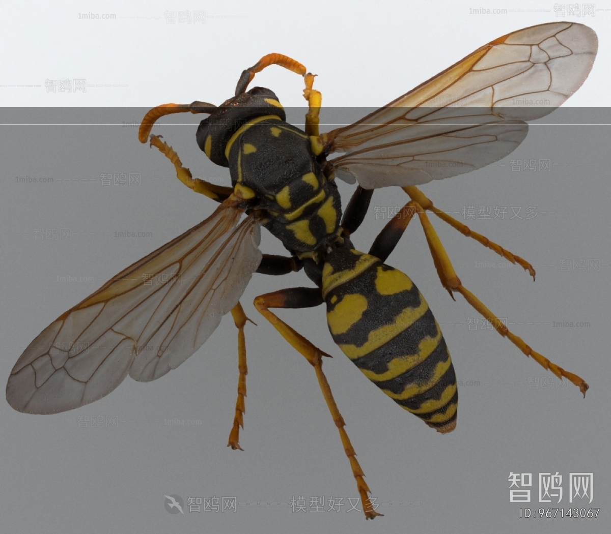 Modern Other Animals