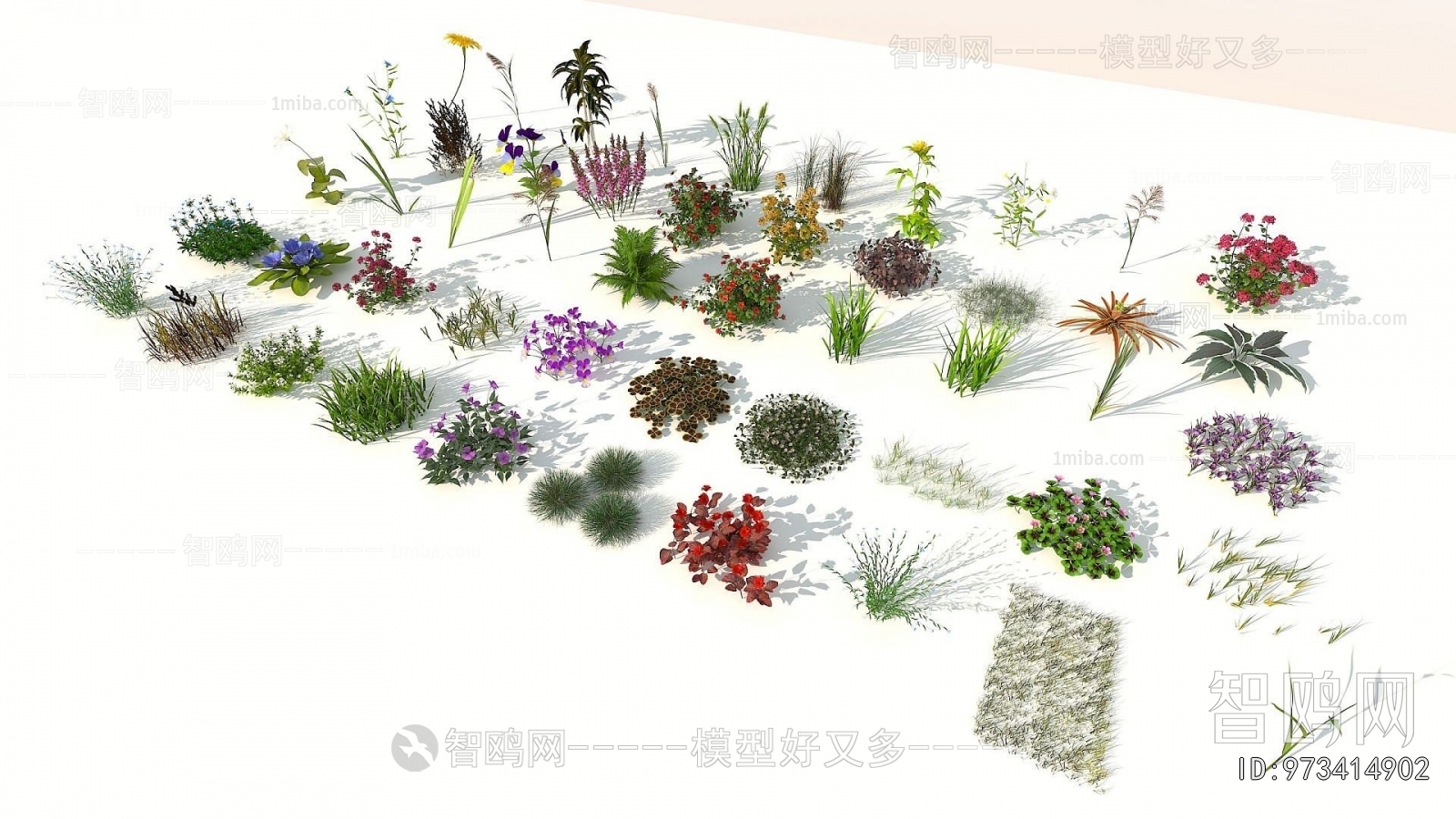 Modern Flowers And Grass