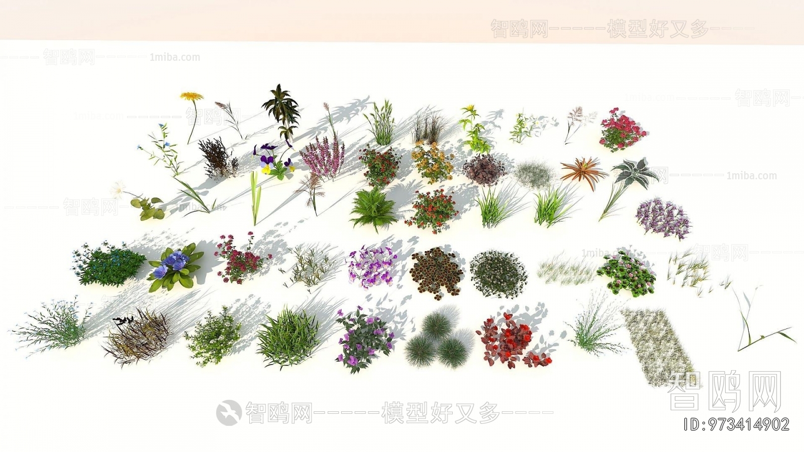 Modern Flowers And Grass