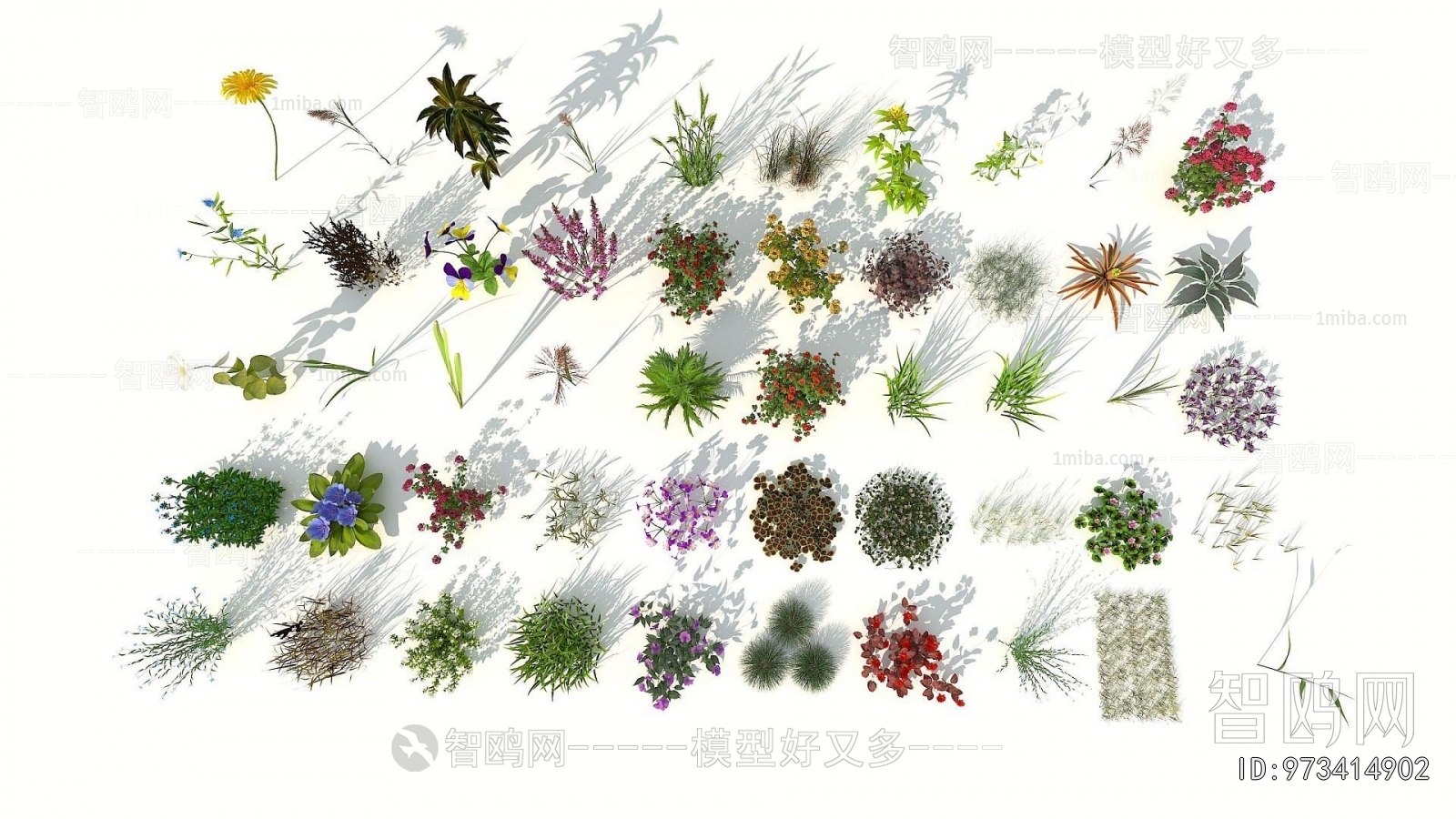 Modern Flowers And Grass