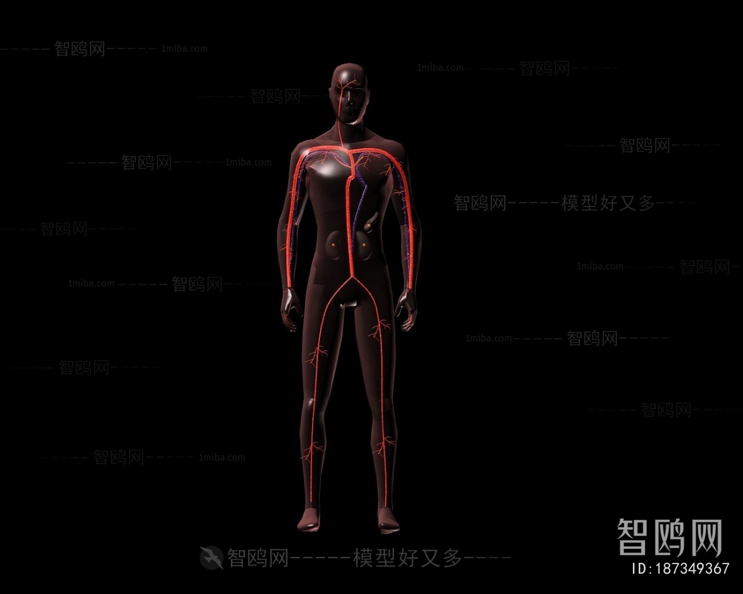 Modern Medical Equipment