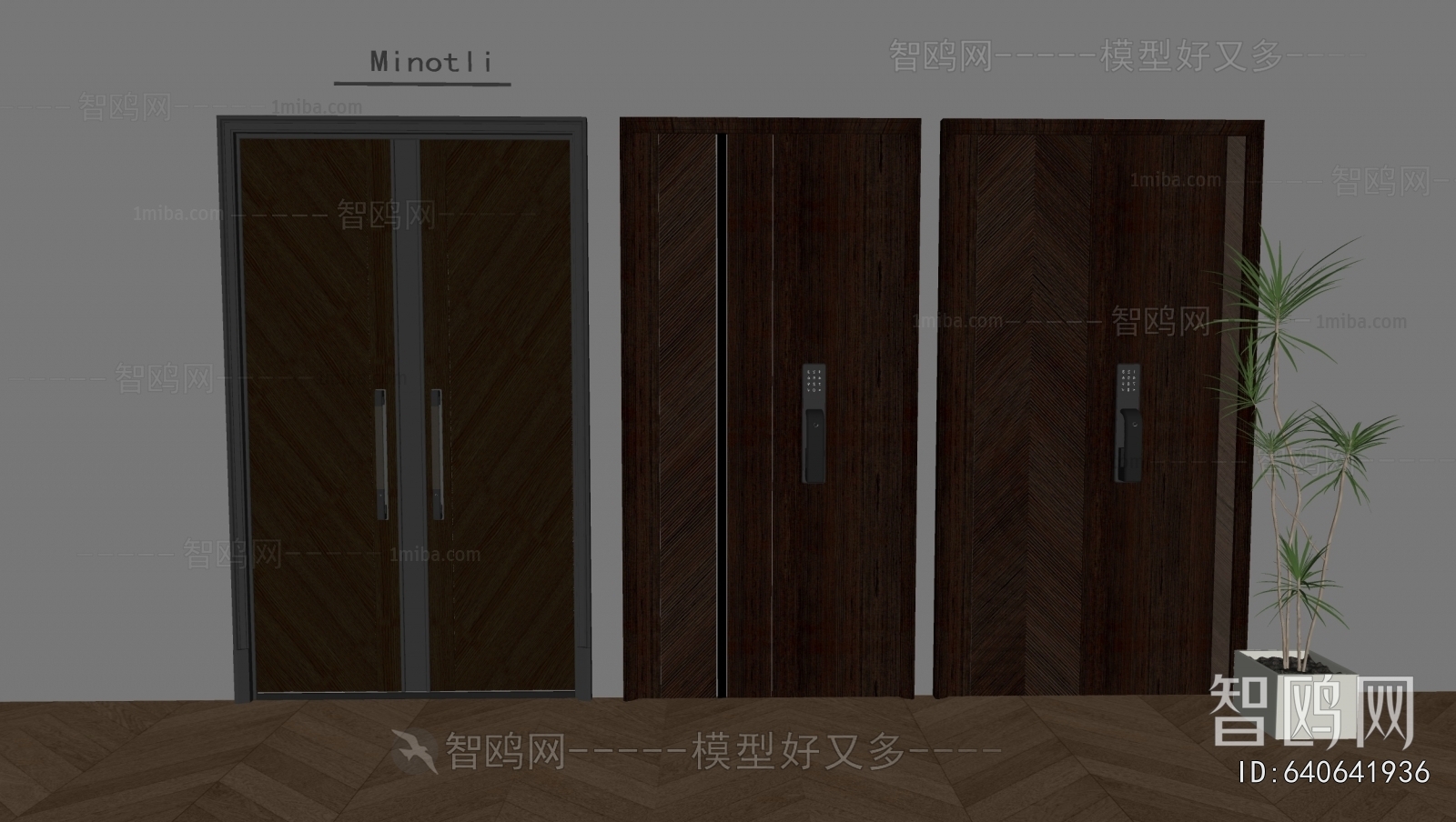 Modern Entrance Door