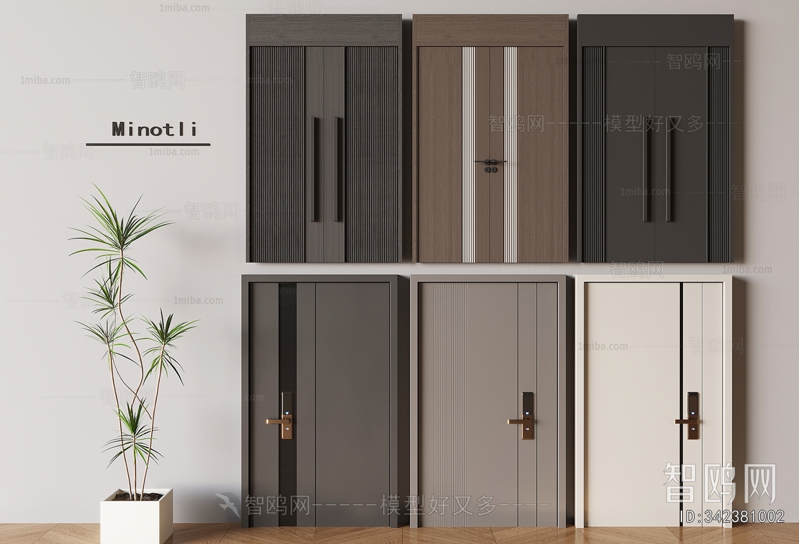 Modern Entrance Door