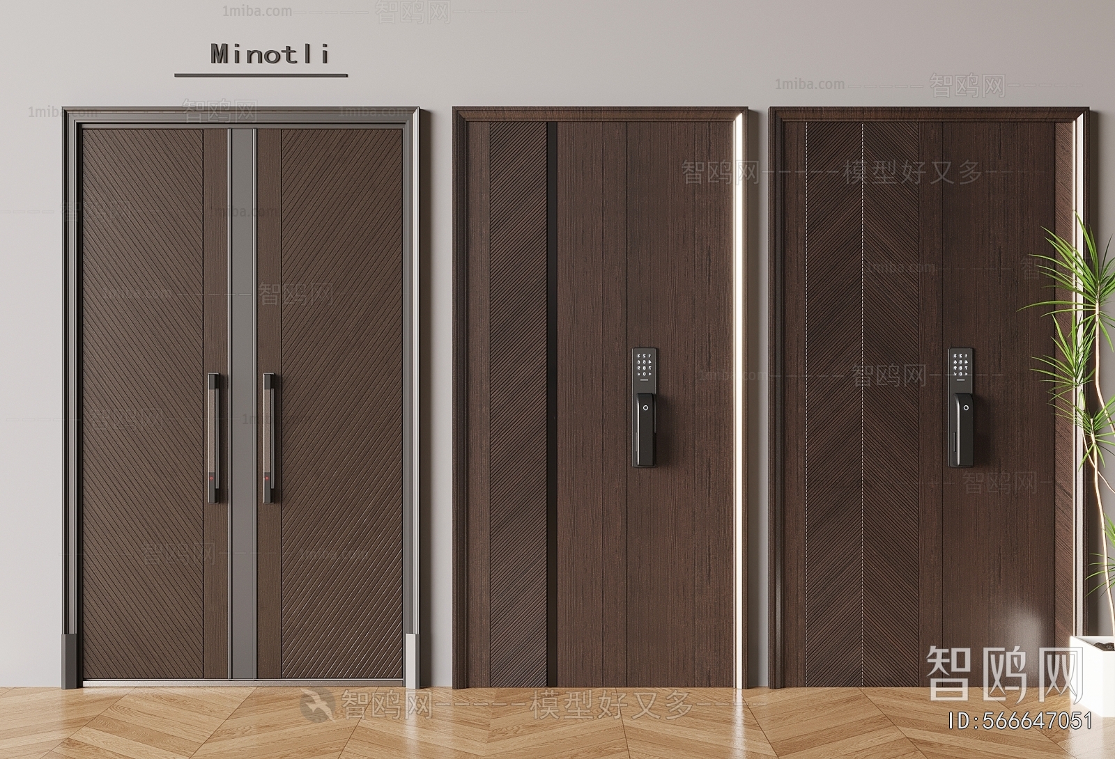 Modern Entrance Door