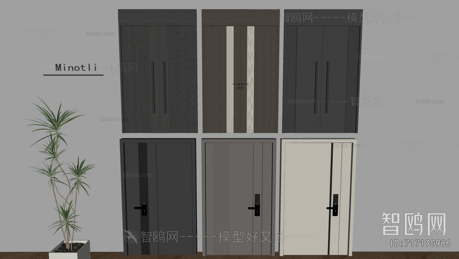 Modern Entrance Door