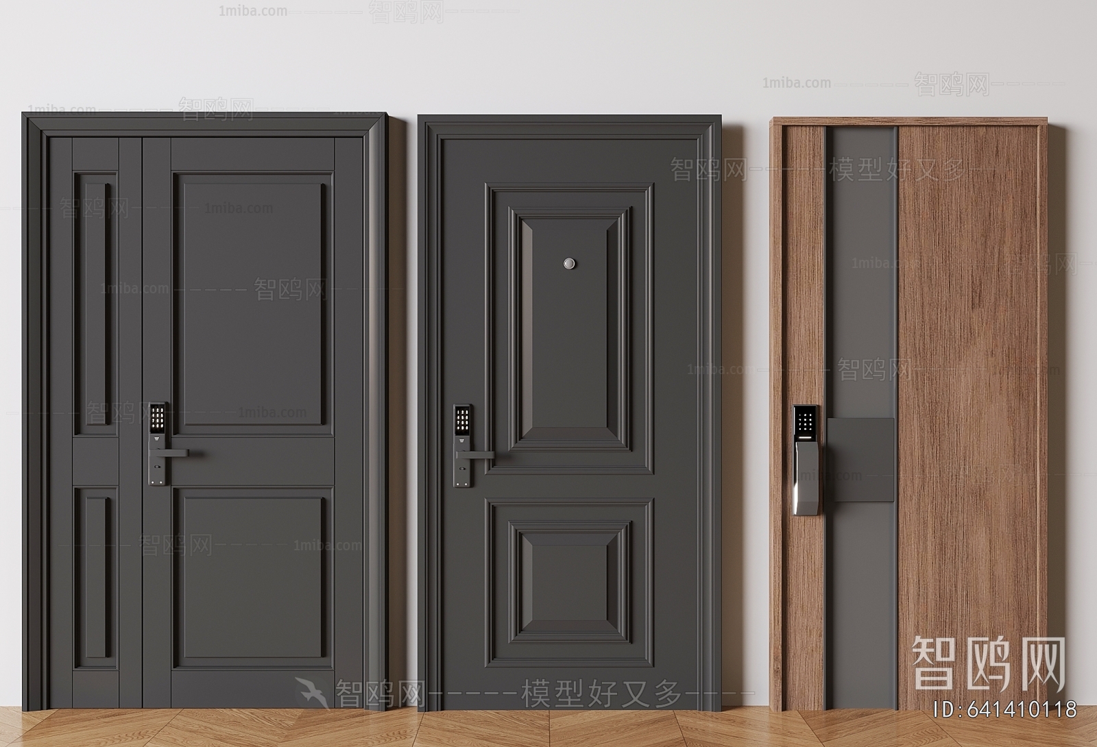 Modern Entrance Door