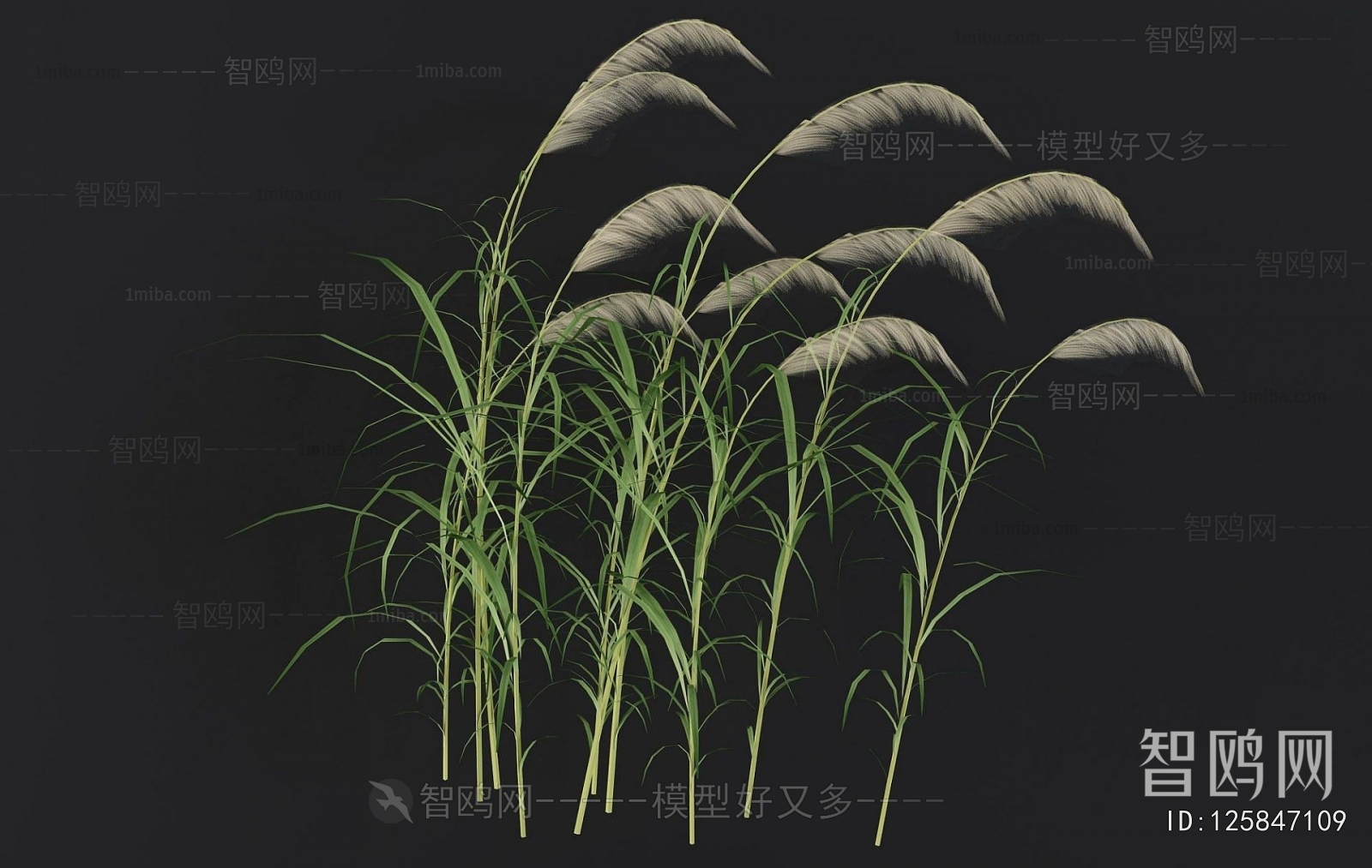 Modern The Grass