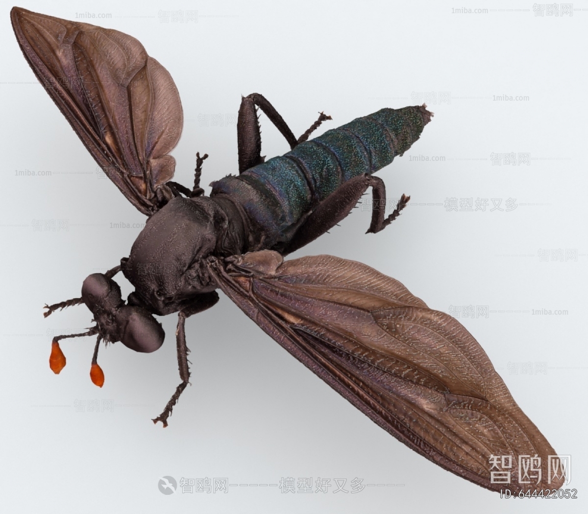 Modern Flying Animals