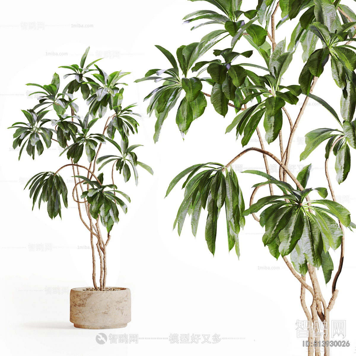 Modern Ground Green Plant Potted Plants