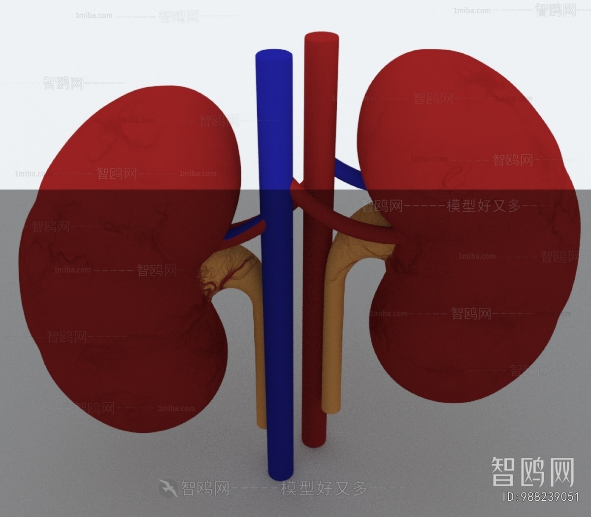 Modern Medical Equipment