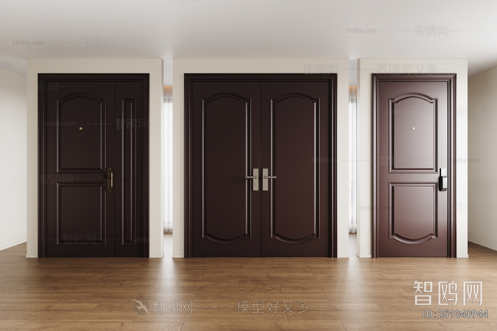 Modern Entrance Door