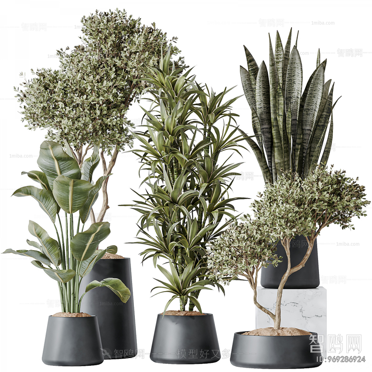 Modern Ground Green Plant Potted Plants