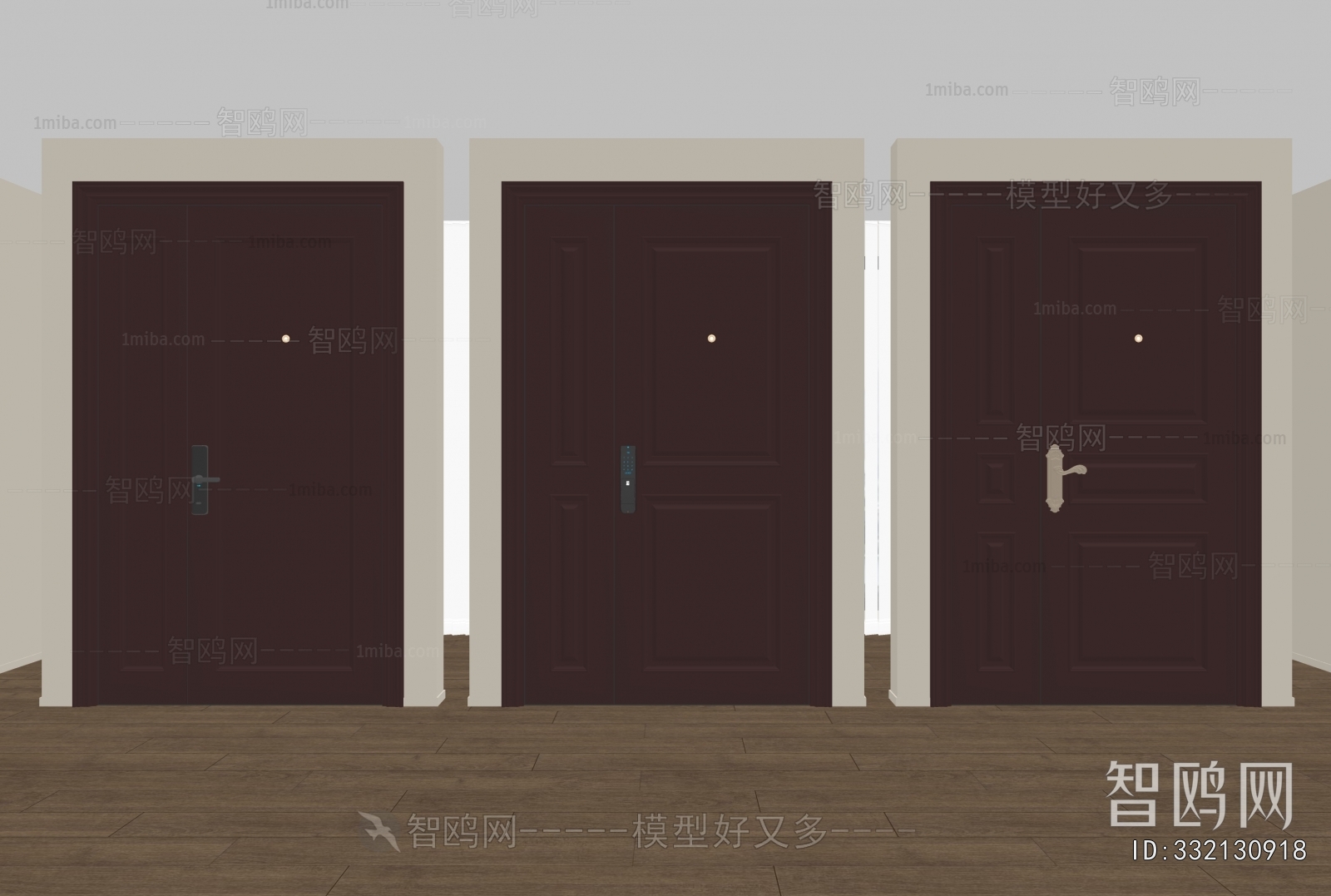 Modern Entrance Door