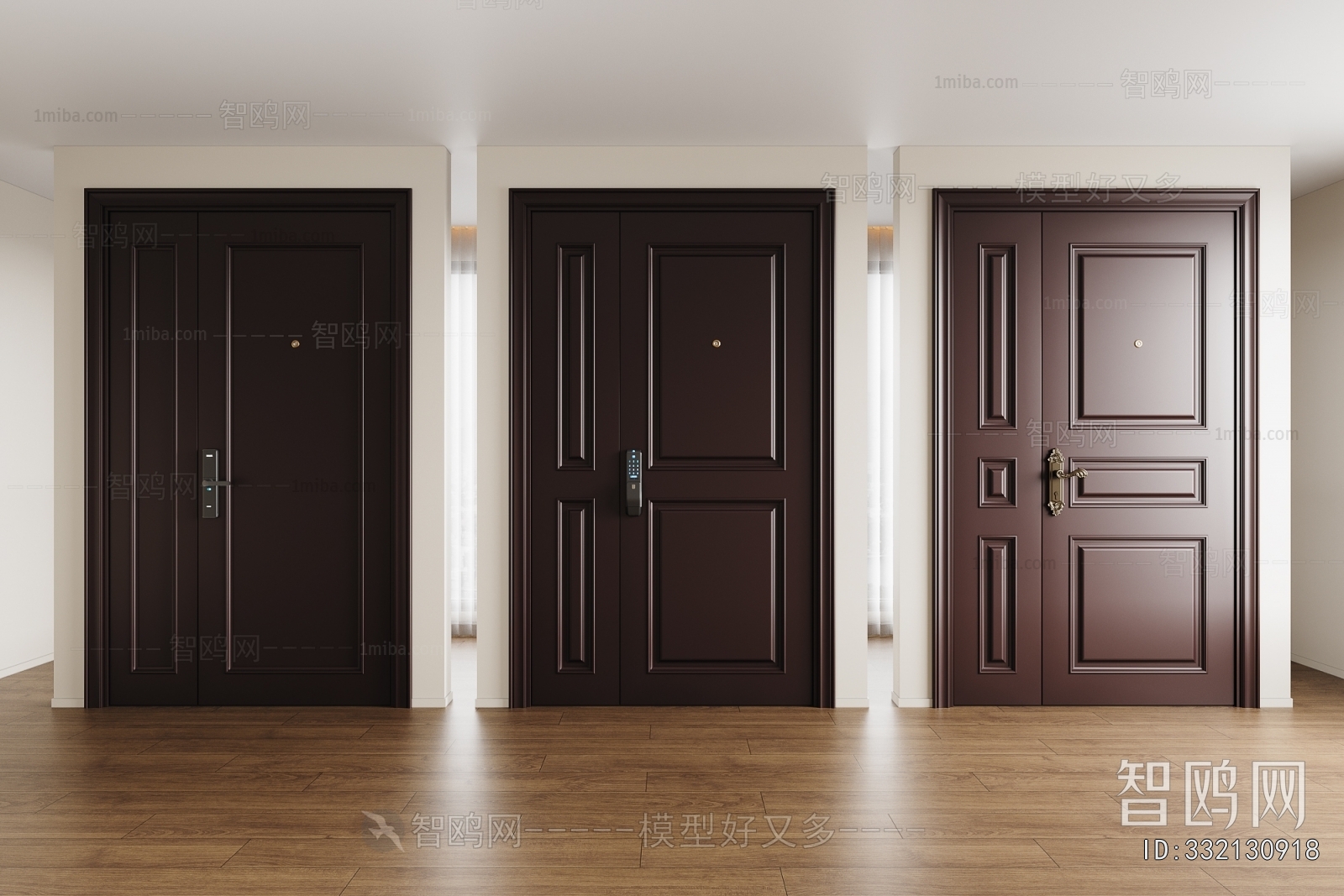 Modern Entrance Door