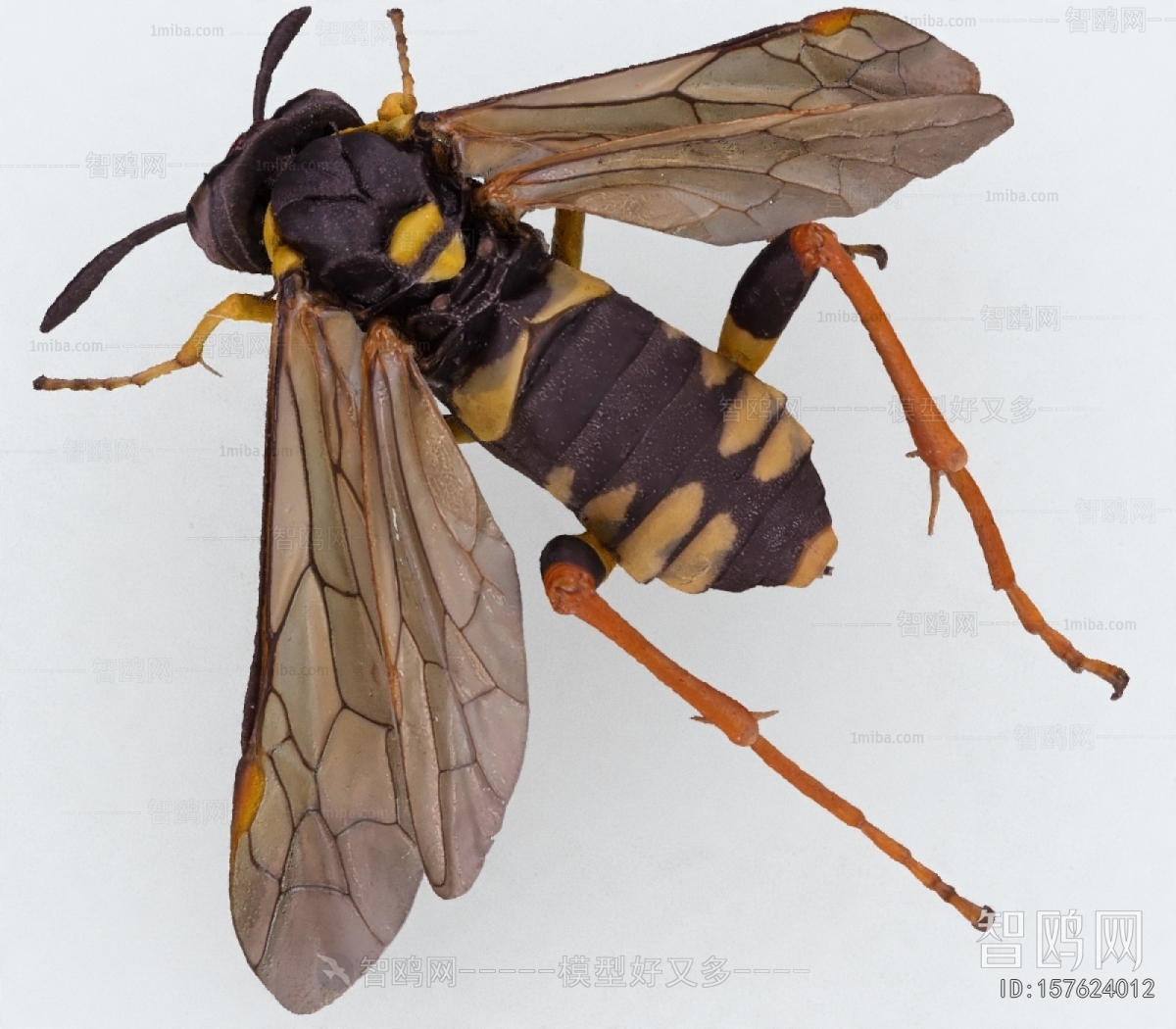 Modern Flying Animals