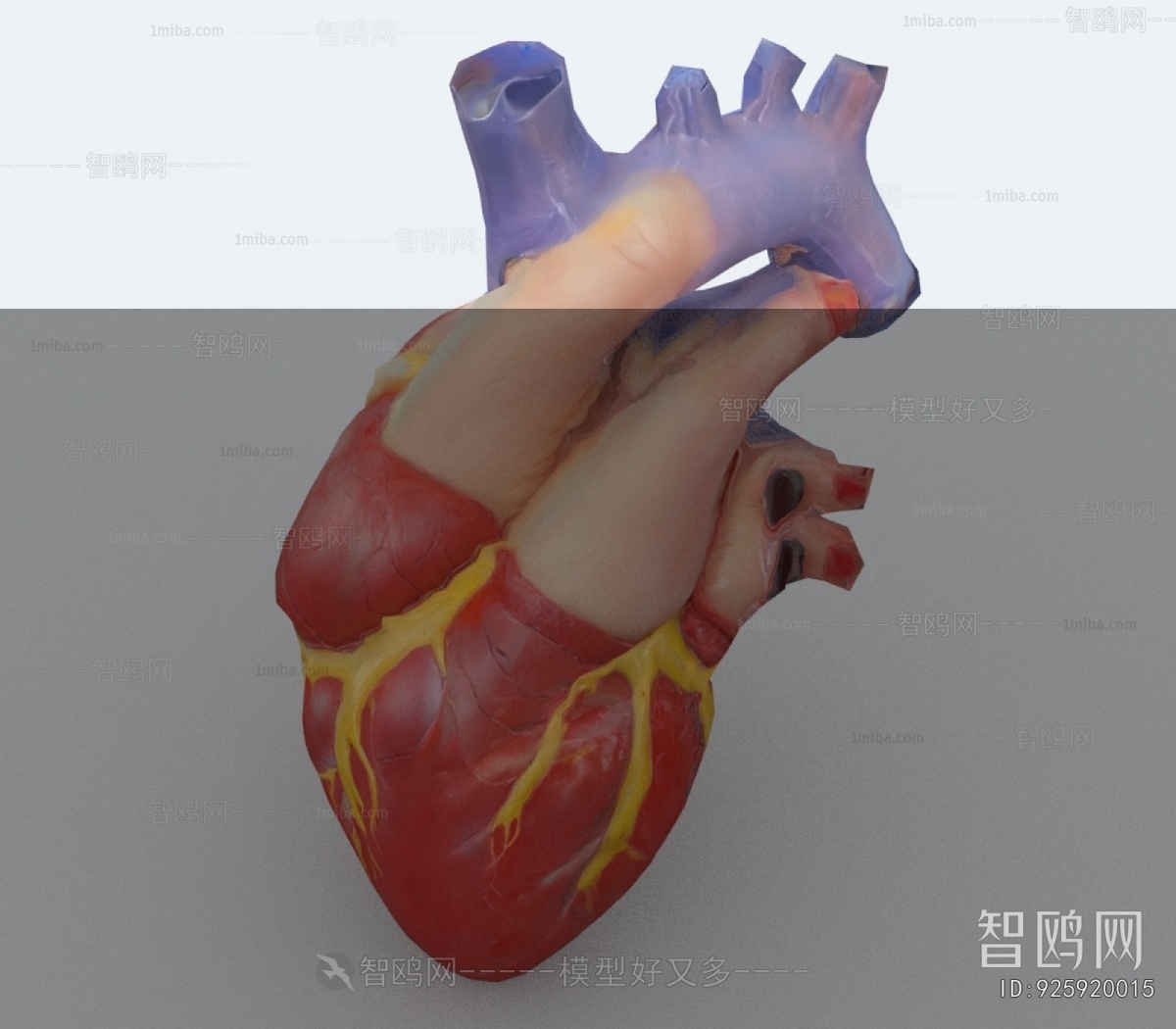 Modern Medical Equipment