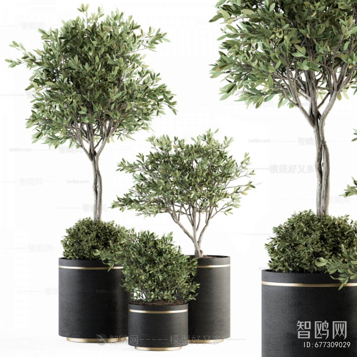 Modern Ground Green Plant Potted Plants