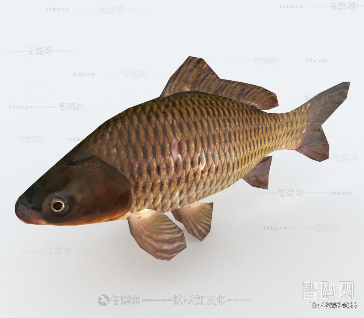 Modern Aquatic Animals