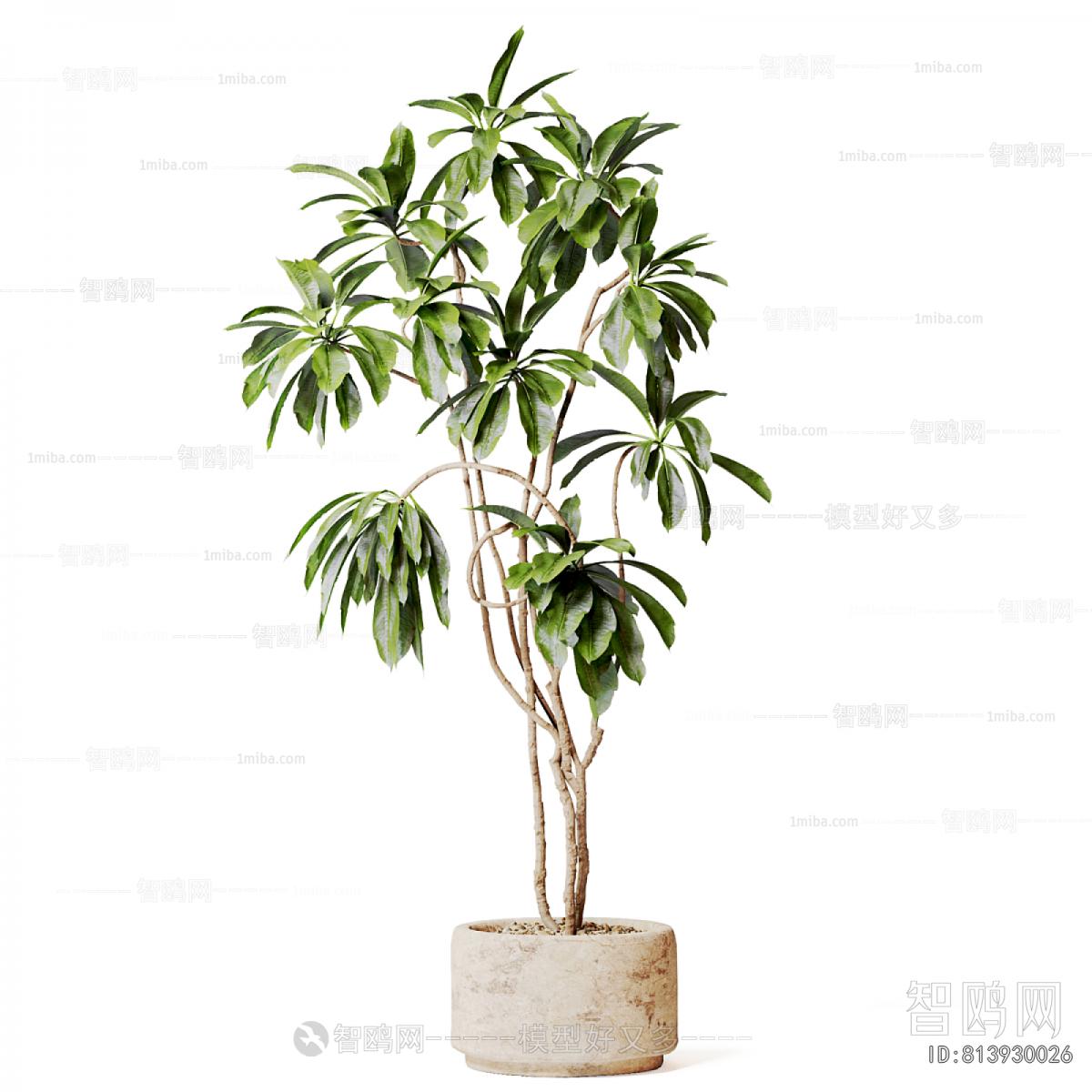 Modern Ground Green Plant Potted Plants