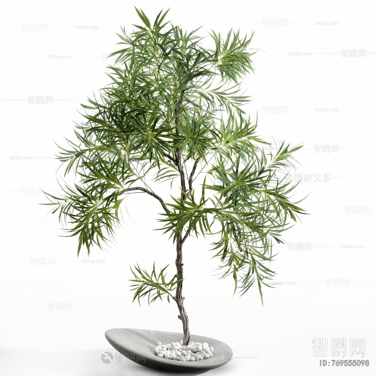 Modern Bonsai