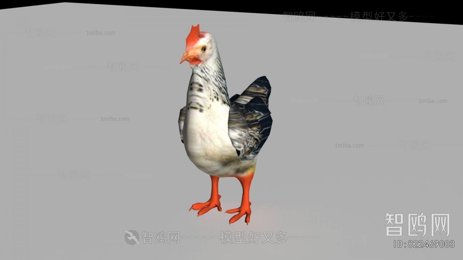 现代母鸡