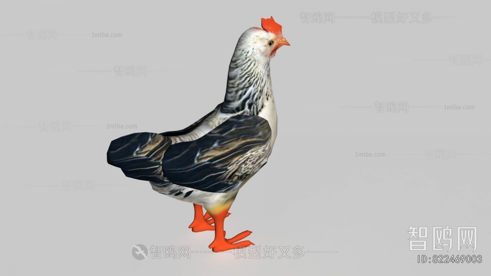 现代母鸡